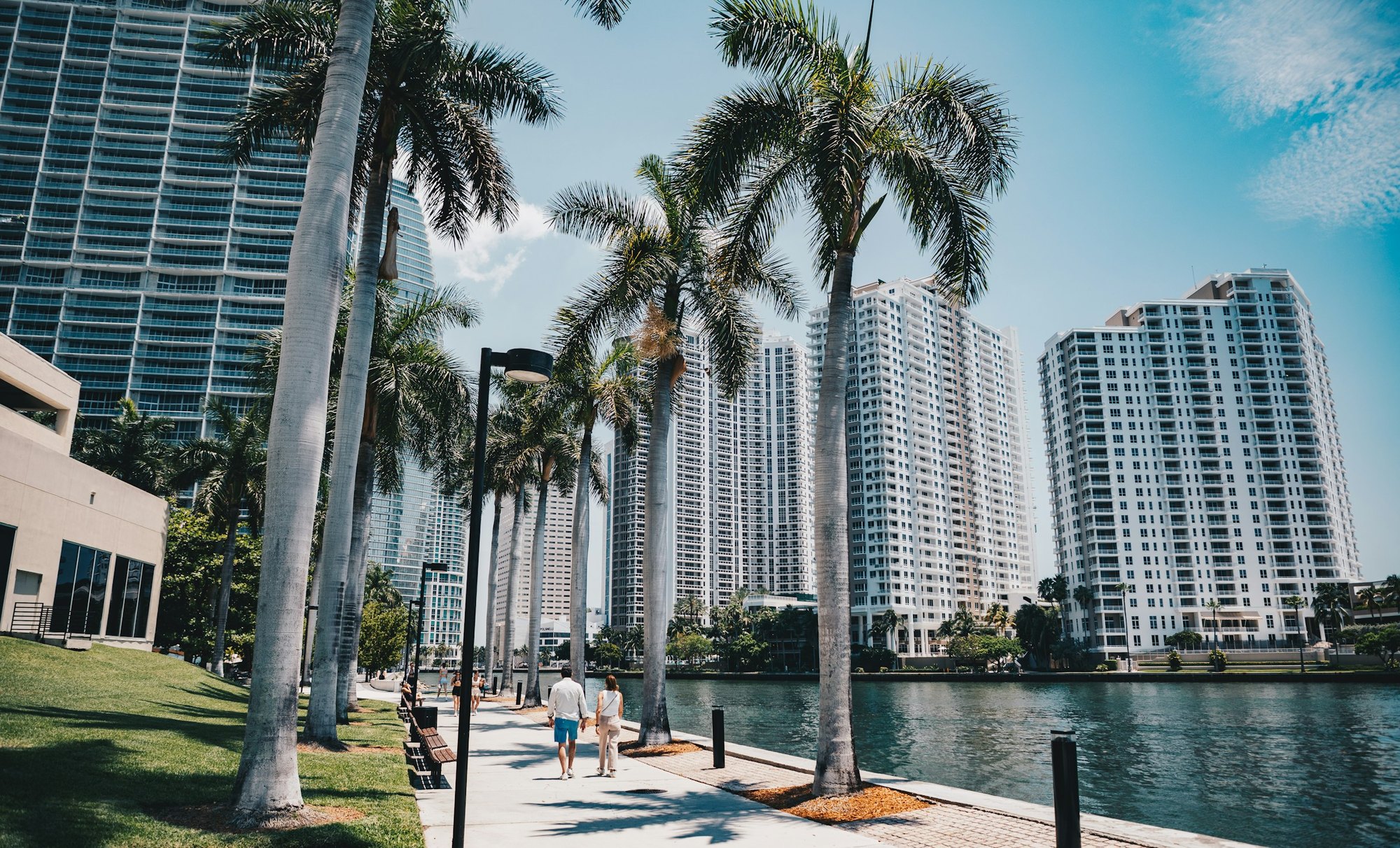 Paseo junto al agua en Brickell, Miami, con palmeras y edificios altos